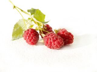 raspberry