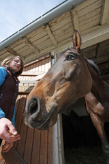 cavalière et son cheval
