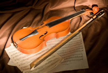 Fototapeta premium violin