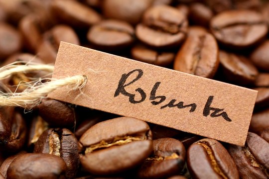 Espressobohnen - Robusta