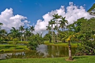 Obraz premium Fairchild tropical botanic garden, FL, USA