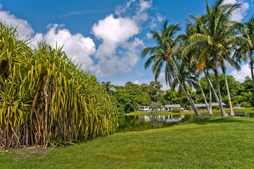 Fototapeta premium Fairchild tropical botanic garden, FL, USA