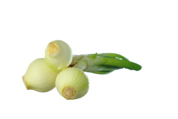 Fresh onion on white