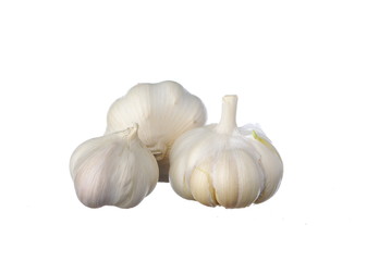 Garlic isolated on white