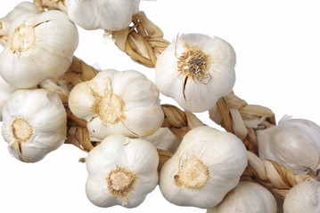 Garlic isolated on white