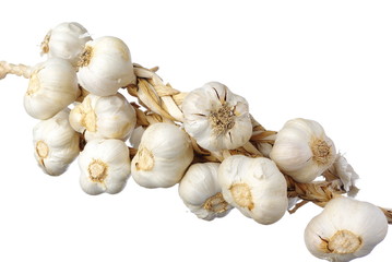 Garlic isolated on white