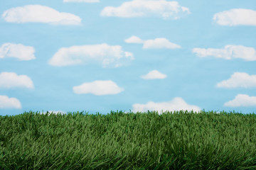 Obraz na płótnie Canvas Grass and sky background