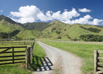 Fototapeta na wymiar Rural New Zealand
