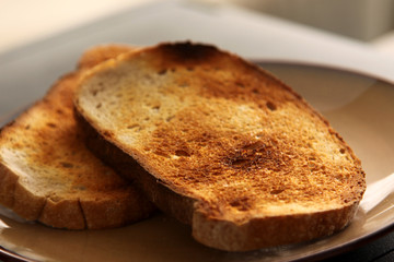 Toast on a Plate
