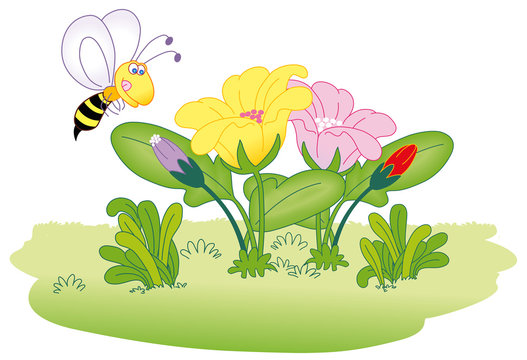 flying bee on flowers
