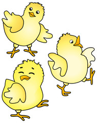 cute chicks