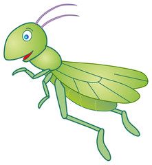 grasshopper