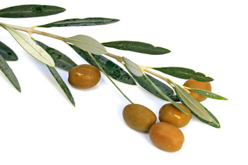 des olives et un rameau d'olivier