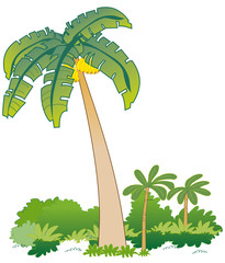 Naklejka premium banana tree