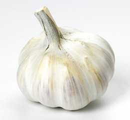 French Garlic Bulb