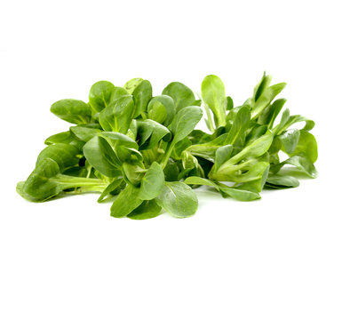 Feldsalad.