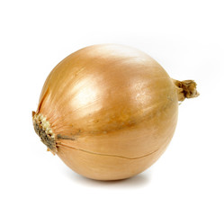 onion from the side