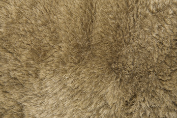 Brown Fur Background