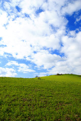 Obraz premium Grassland panorama