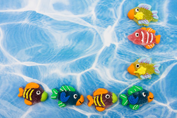 Fototapeta na wymiar Colourful Fish Border