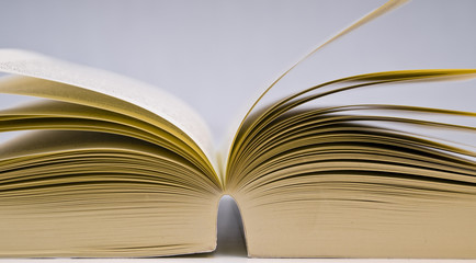 Buch