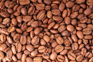 Coffee grains