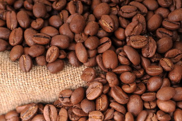 Coffee grains