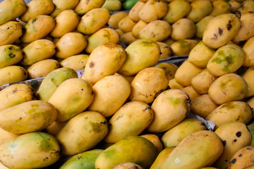 Stacks of fresh, ripe Philippine mangoes