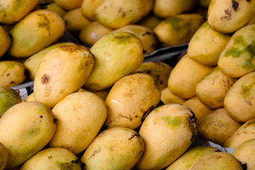 Stacks of fresh, ripe Philippine mangoes