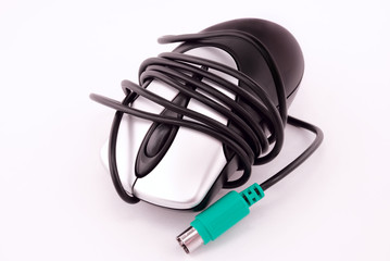 Fototapeta premium computer mouse