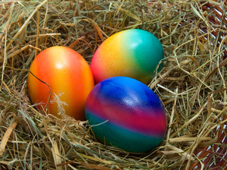 Fototapeta na wymiar colored Easter eggs in the nest isolated