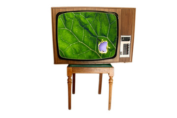 old vintage tv