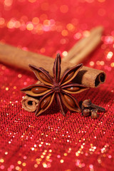 Star Anis , Cinnamon sticks and Gloves on red glitter backdrop