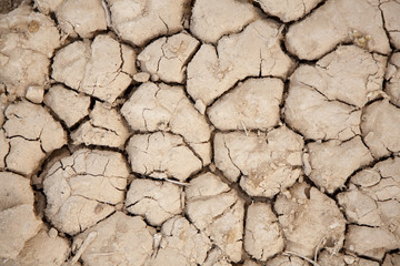 Dry Cracked Mud 0487