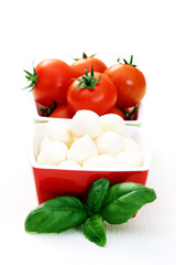 mozzarella and cherry tomatoes