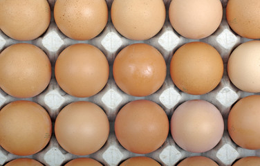 Eggs in cardboard package as background or backdrop.