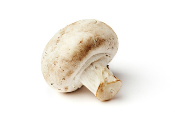 Three mushroom