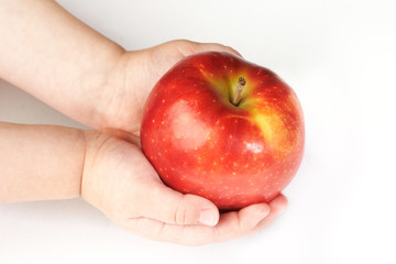 Apple on hands