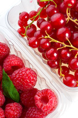 berries of a raspberry.