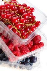 berries of a raspberry.