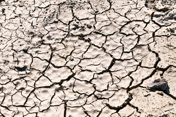 Dry soil texture