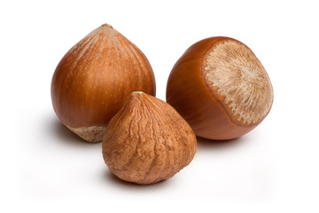 Hazelnut 3