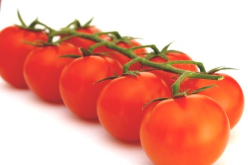 pomodorini appena raccolti