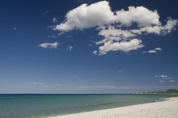 tropical beach with a cloudy blue sky