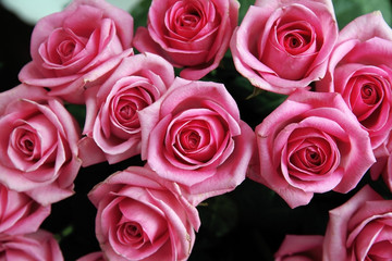 decorative beautiful bouquet of red fresh roses