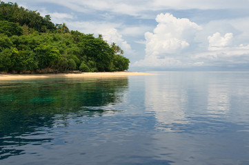 tropical island - sea, sky and palm trees