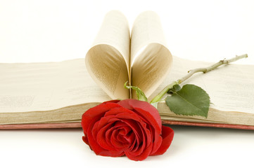 red rose on a book isolated on white background