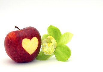 Apple With Cymbidium