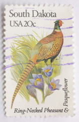 South Dakota Pheasant Stamp