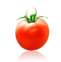 Tomato